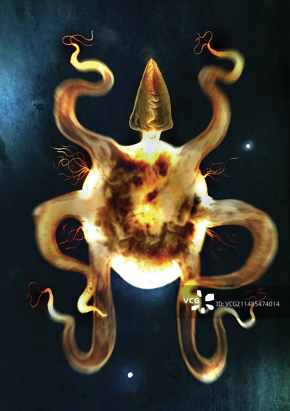 模因生物艺术作品图片素材