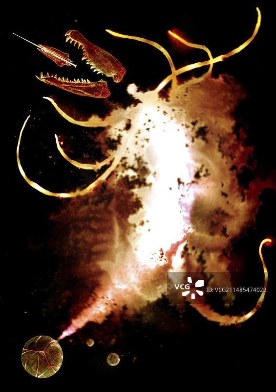 模因生物艺术作品图片素材