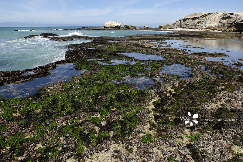珊瑚礁系统图片素材
