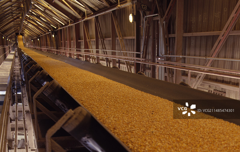 玉米产业图片素材