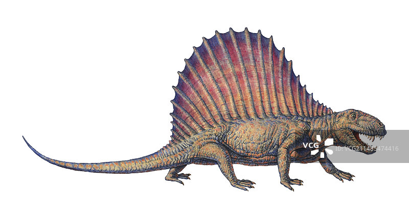 Dimetrodon电脑艺术作品图片素材