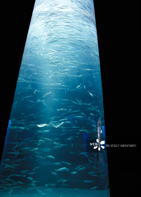 水族馆图片素材