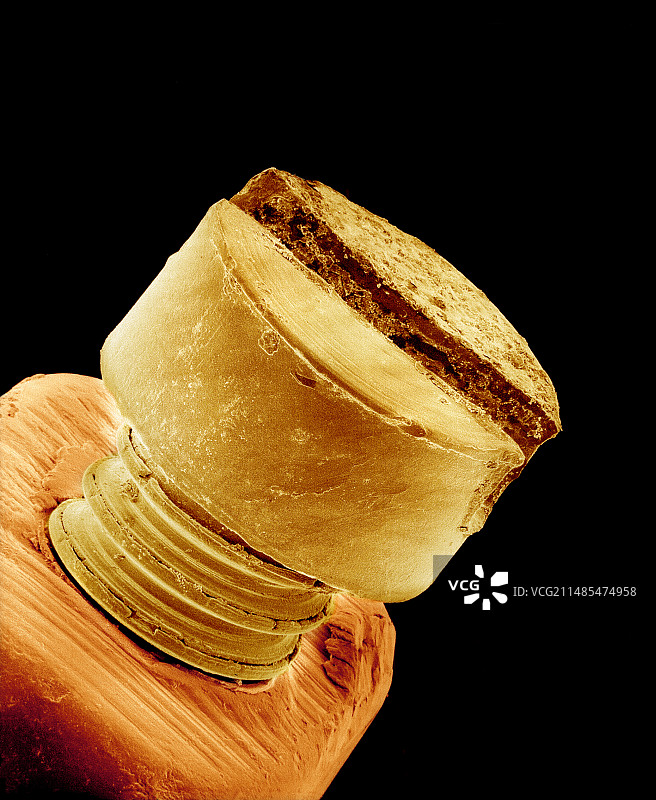 手表螺丝，扫描电镜图片素材