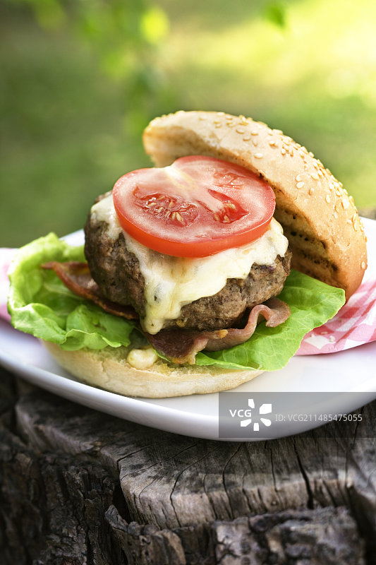 自制汉堡图片素材