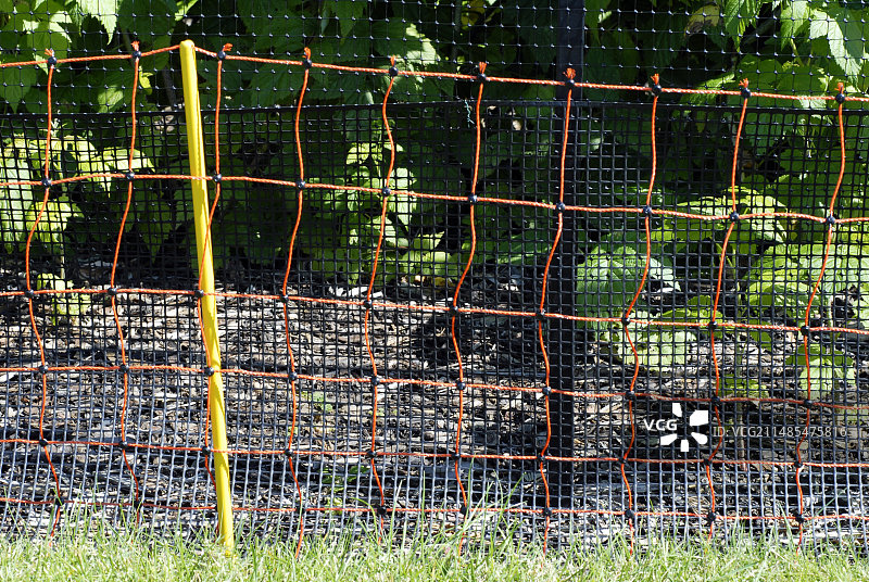 电围栏图片素材
