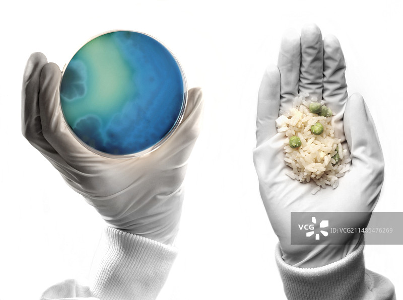 蜡样芽孢杆菌食物中毒图片素材