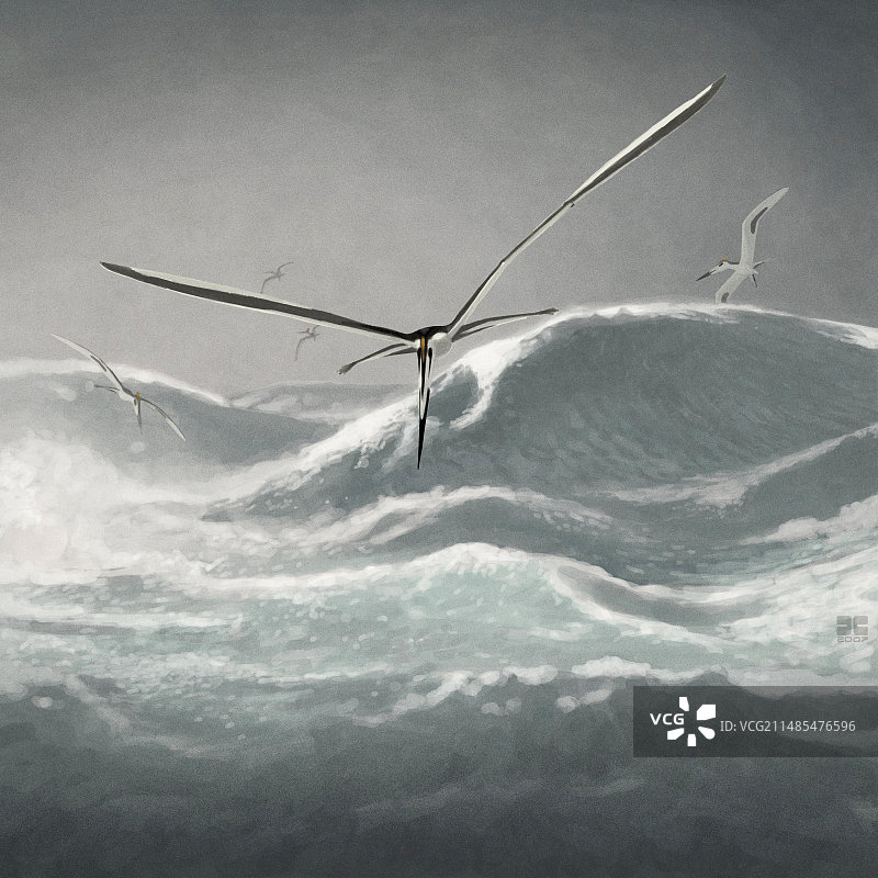 无齿翼龙图片素材