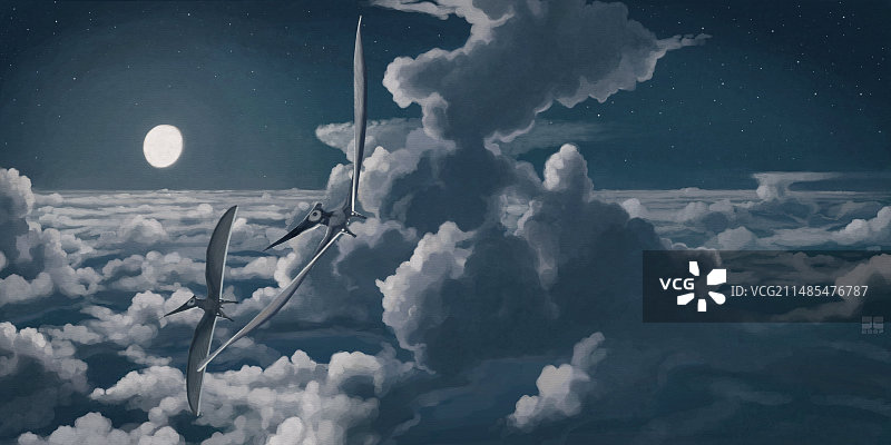 翼龙（夜翼龙属）艺术作品图片素材