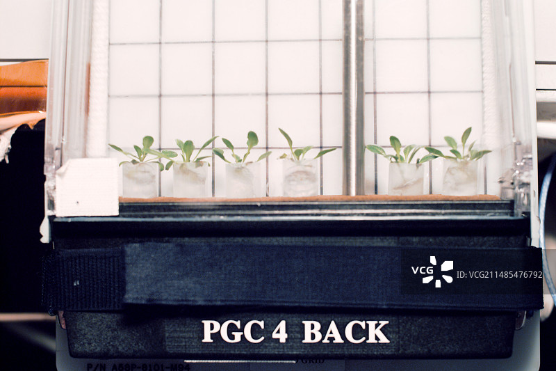 太空飞船的植物培养图片素材