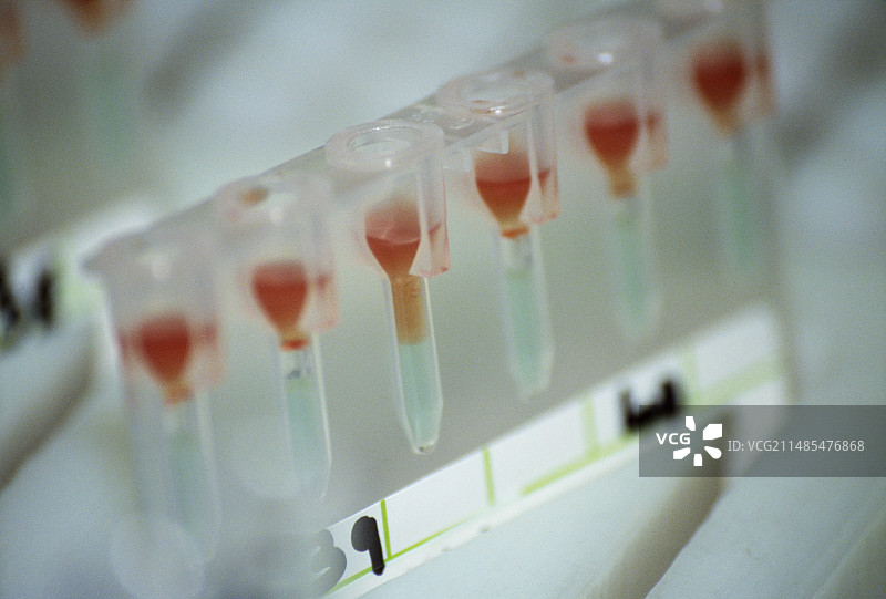 血型测试图片素材