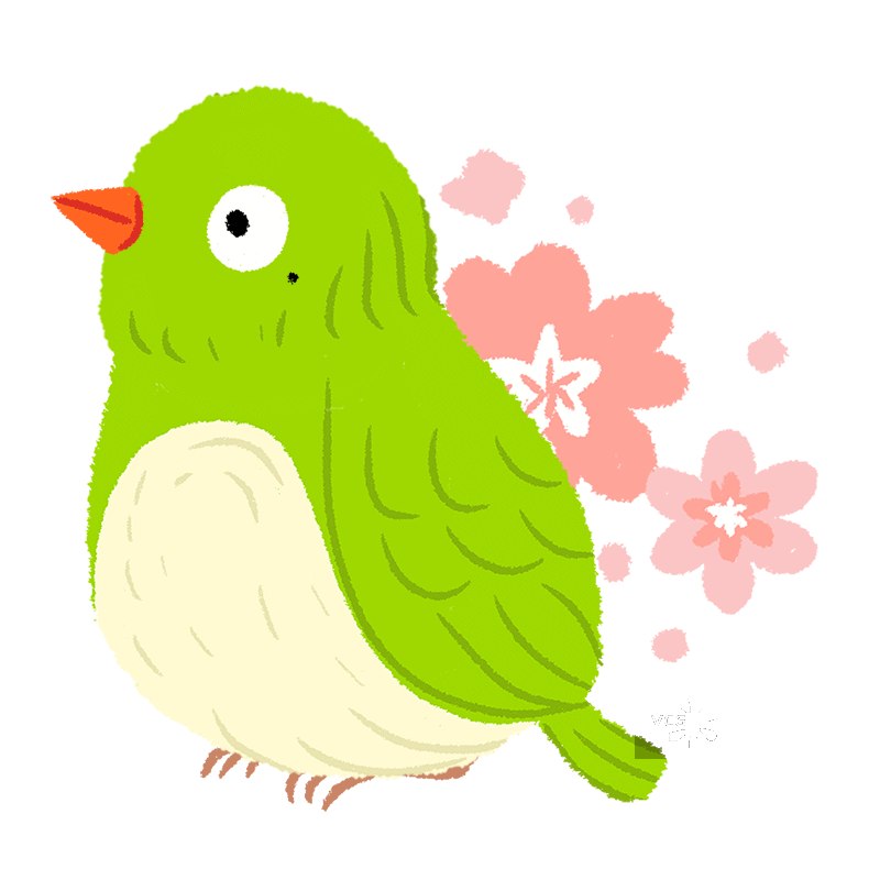 可爱的绿色小鸟手绘插画图片素材