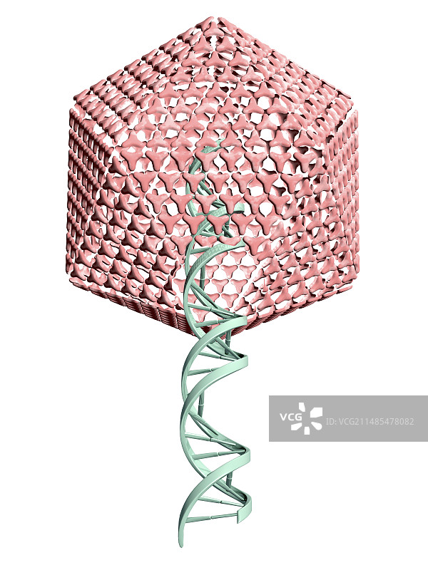 病毒基因治疗艺术图图片素材