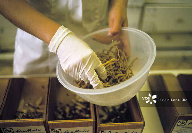 中草药图片素材