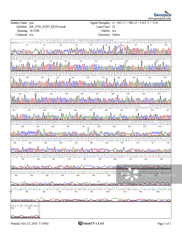 DNA分析图片素材