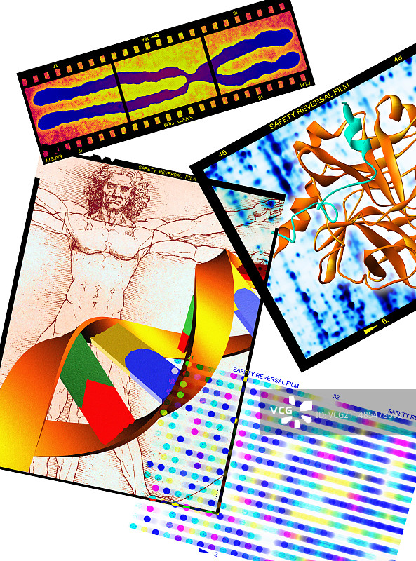 遗传研究图片素材