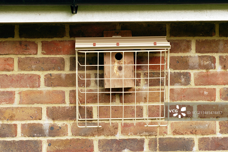 受保护的鸟巢箱图片素材