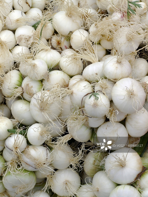 白洋葱图片素材