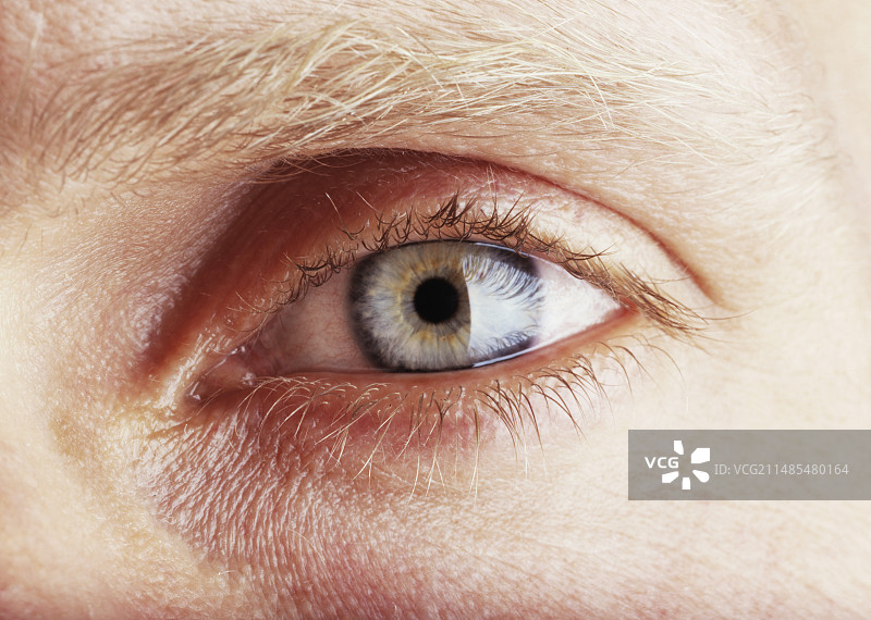 男人的眼睛图片素材