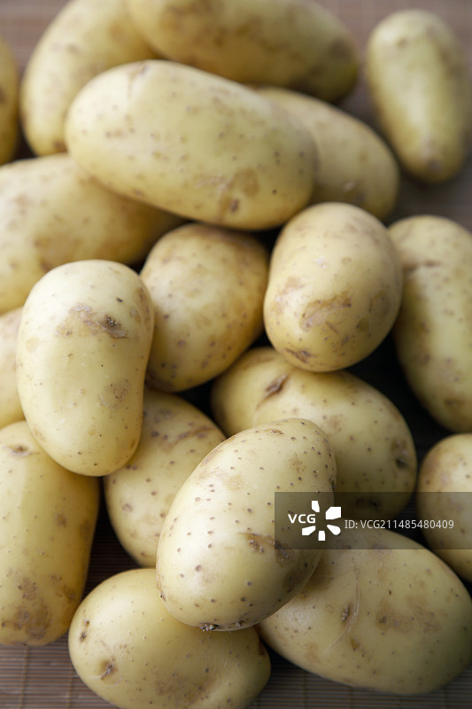 夏洛特土豆图片素材