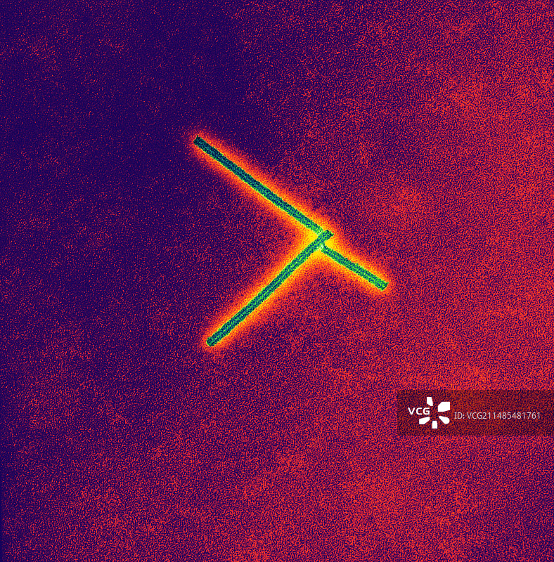 烟草花叶病毒TEM图片素材