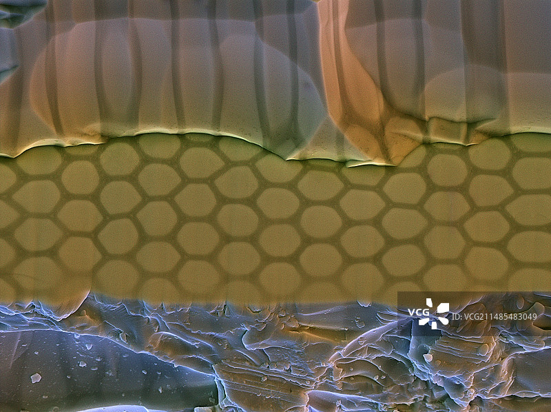 光纤材料扫描电镜图图片素材