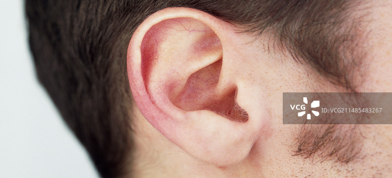 男子的耳朵图片素材