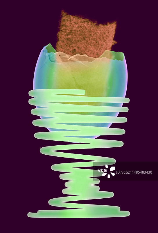 X光下的蛋杯煮鸡蛋图片素材