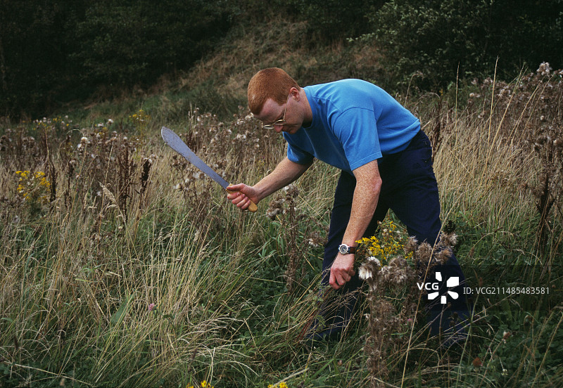 杂草控制图片素材
