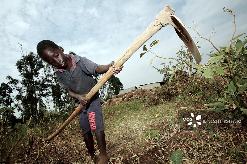 第三世界农业图片素材