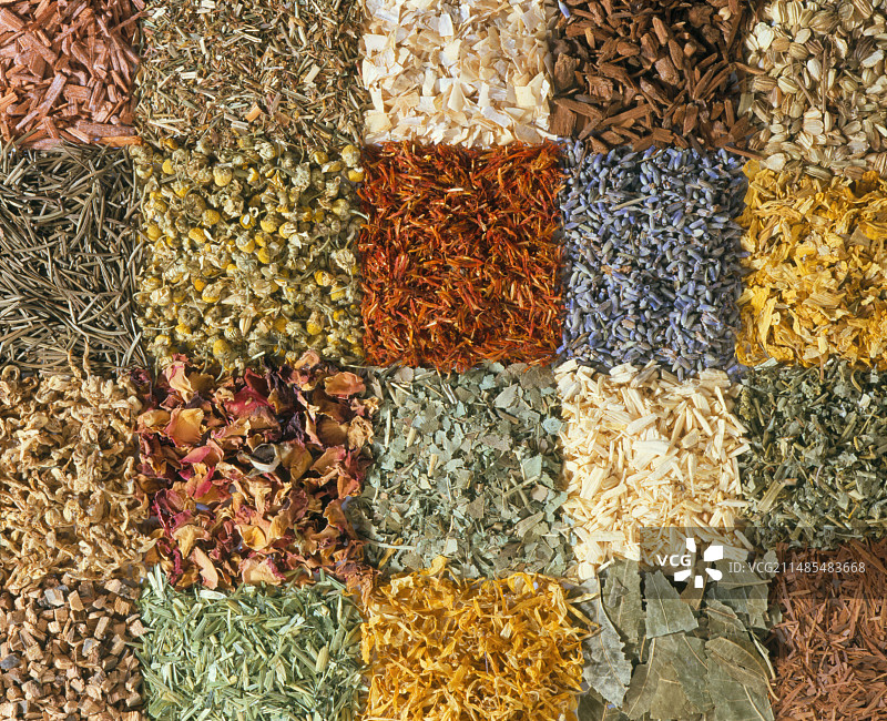 药用草药图片素材