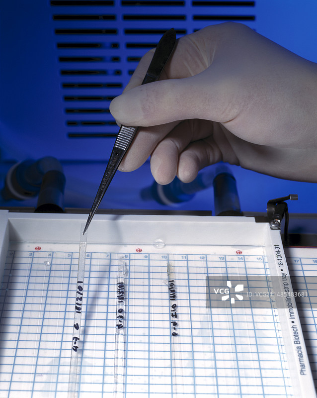 蛋白质研究图片素材