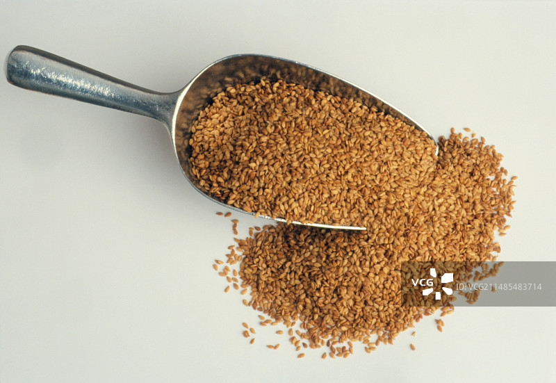 亚麻籽图片素材