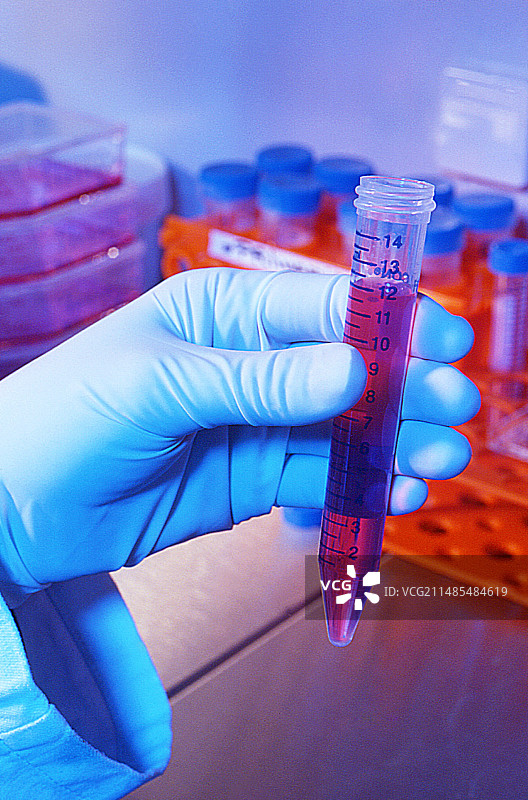 干细胞研究图片素材