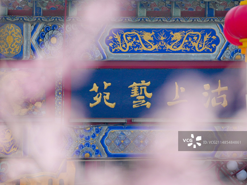 桃花前景后的天津古文化街图片素材