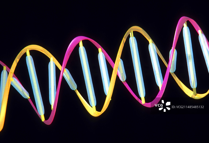 DNA分子模型图片素材
