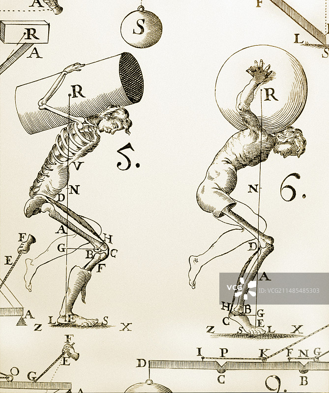 生物力学历史艺术作品图片素材