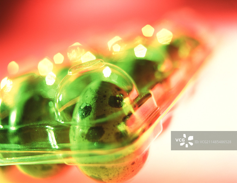 鹌鹑蛋图片素材