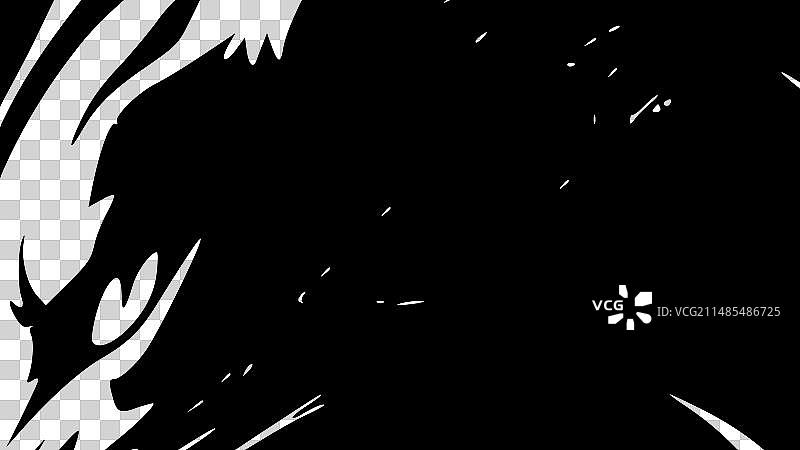 野猫 - 黑白图片素材