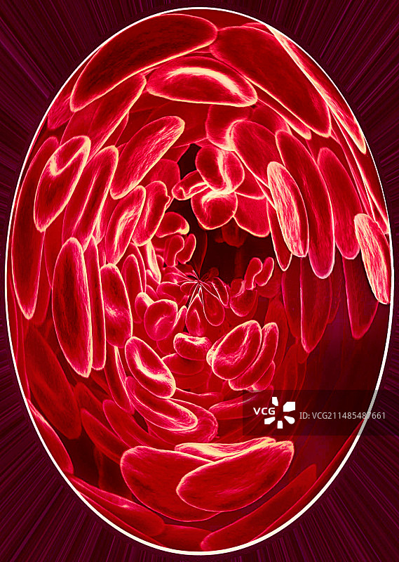 红细胞扫描电子显微镜图像图片素材