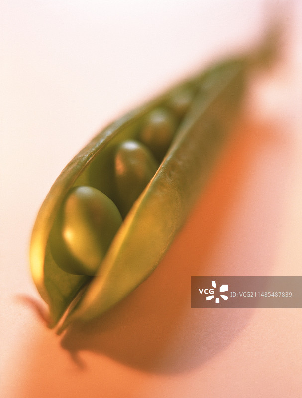 豌豆荚图片素材