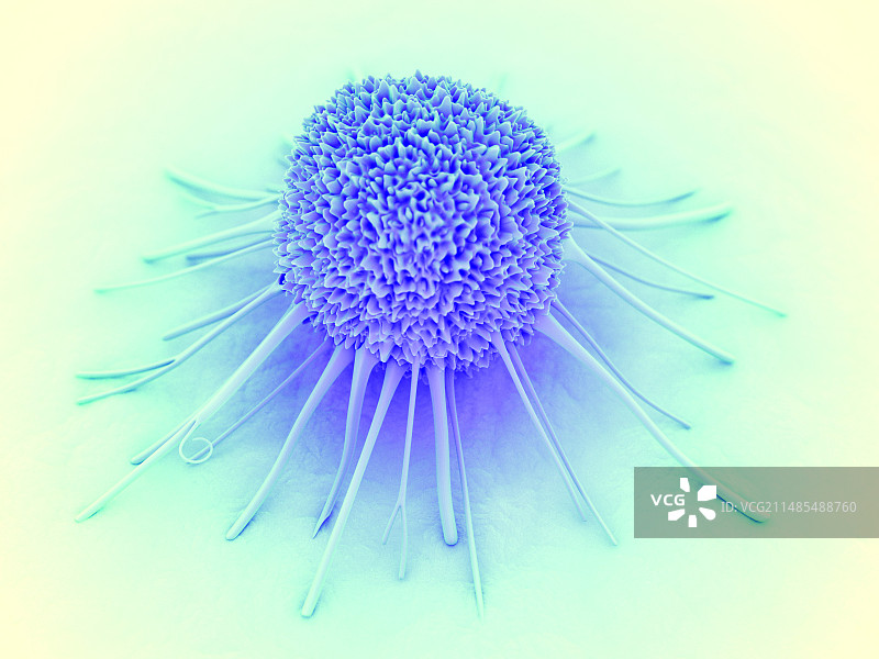 癌细胞图片素材