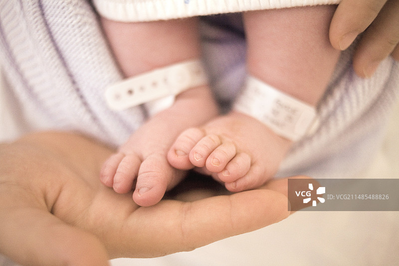 新生儿的脚图片素材