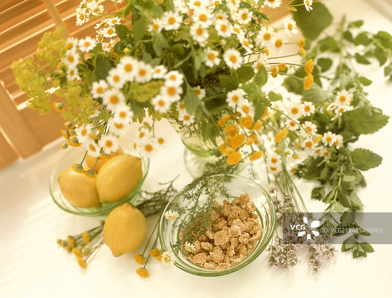 药用植物图片素材