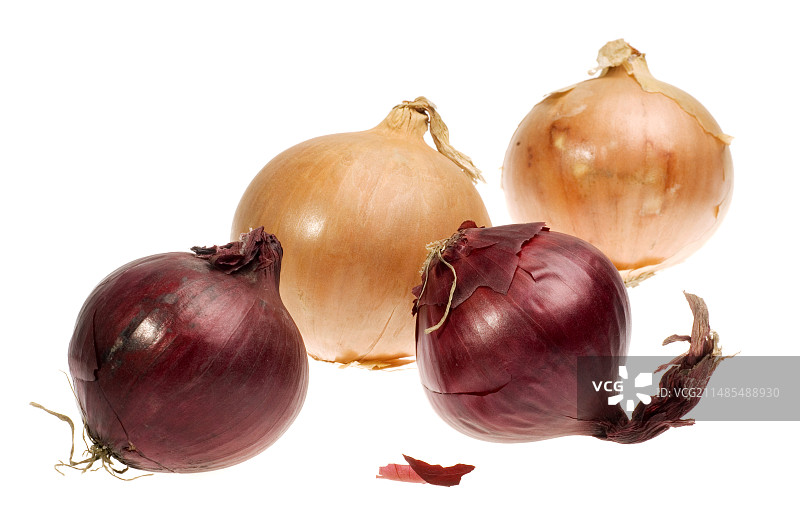 洋葱图片素材