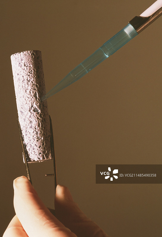 生物陶瓷图片素材