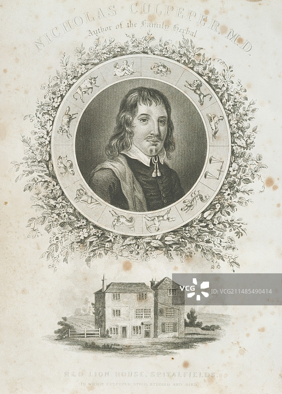 尼古拉斯·卡尔佩珀图片素材