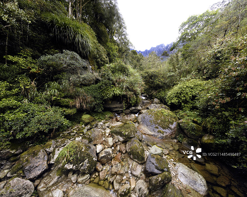 马来西亚山间河床图片素材