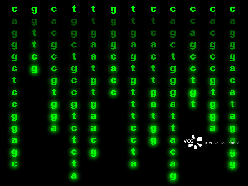 基因序列。图片素材