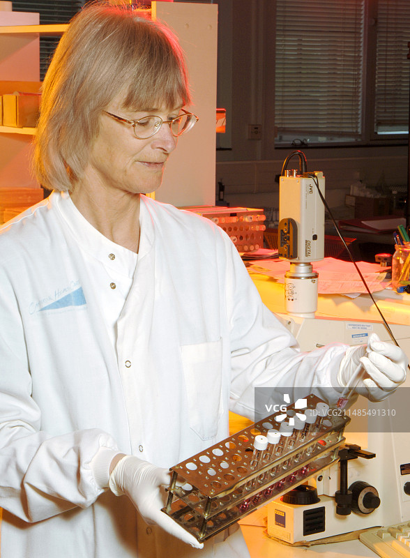 病毒样本的医学分析图片素材