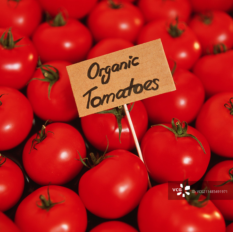 有机西红柿图片素材